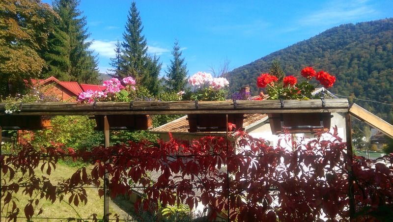 Bistro-Pension La Teleferic Sinaia Luaran gambar