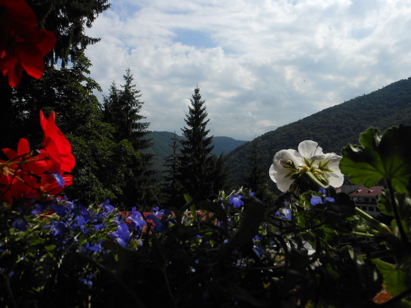 Bistro-Pension La Teleferic Sinaia Luaran gambar
