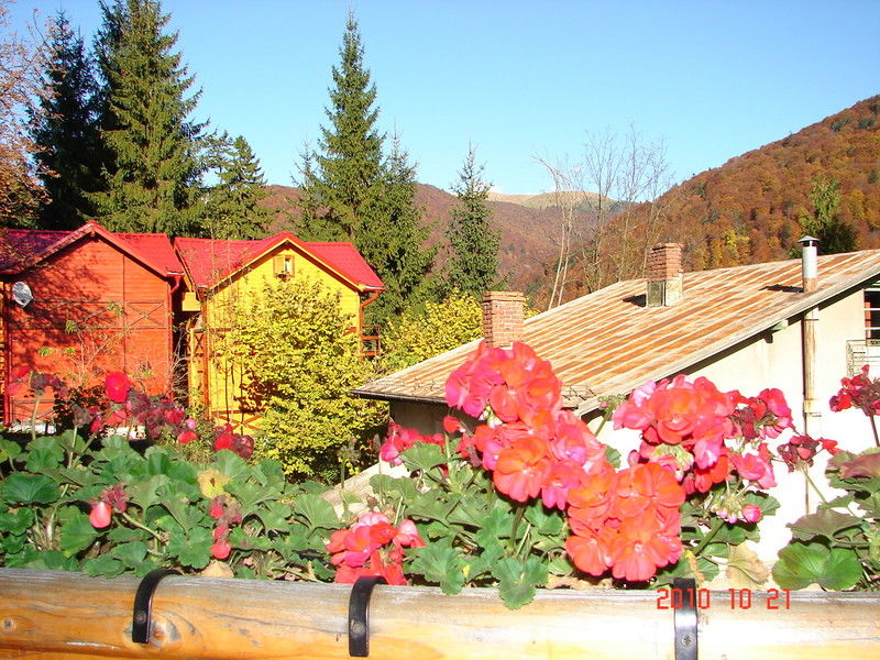 Bistro-Pension La Teleferic Sinaia Luaran gambar