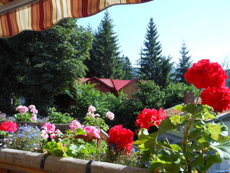 Bistro-Pension La Teleferic Sinaia Luaran gambar