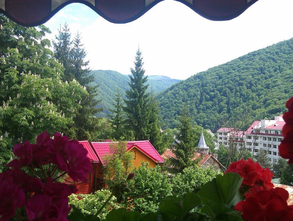 Bistro-Pension La Teleferic Sinaia Luaran gambar